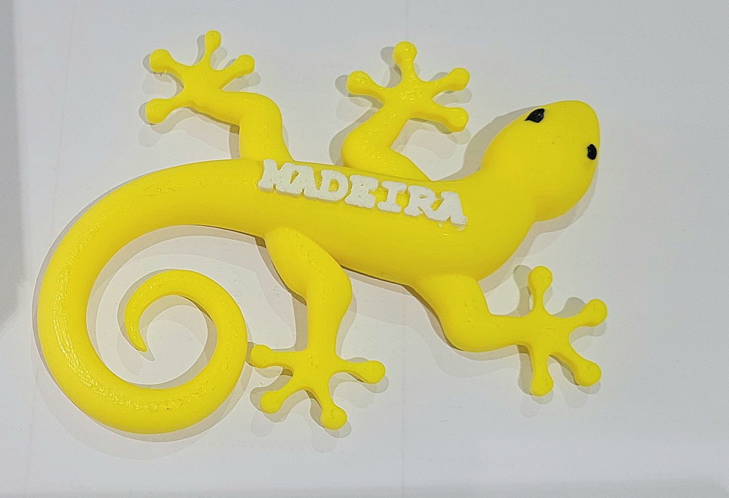Lagartixa