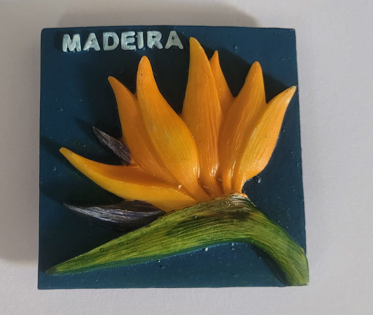 Estrelicia fundo azul