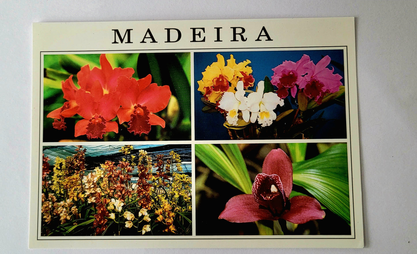 Postais da Madeira