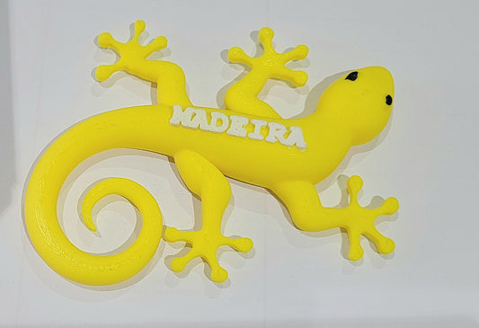 Lagartixa