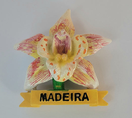 Flor da madeira amarelo