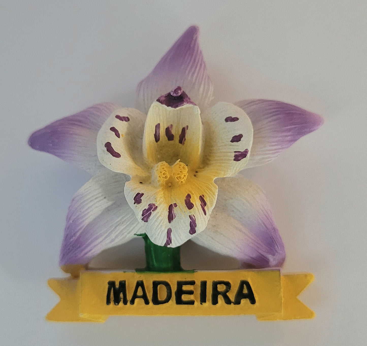 Flore da madeira roxo