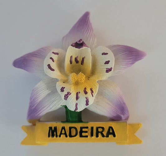 Flore da madeira roxo