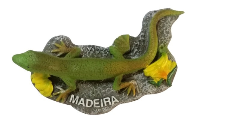 Lagartixa da madeira